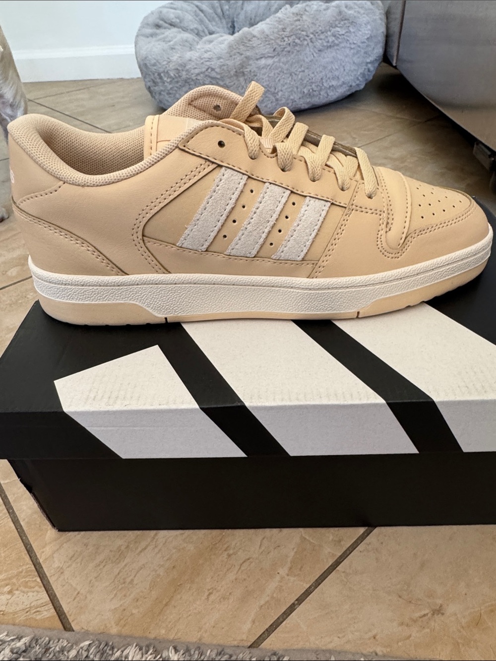 adidas women’s 8.5/mens 7 Neutral Beige Low-Top Leather Sneaker